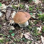 Sogno Delle Dolomiti 아파트