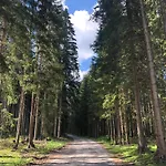 Sogno Delle Dolomiti 아파트 *