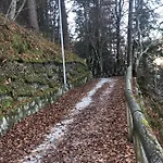 Sogno Delle Dolomiti *
