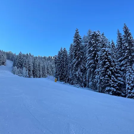 Apartmán Sogno Delle Dolomiti *