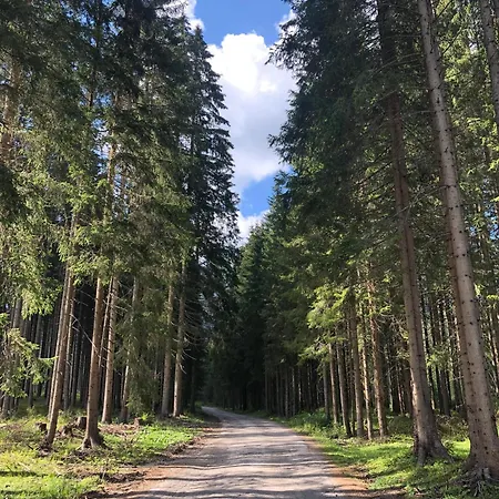 Sogno Delle Dolomiti Apartmán *