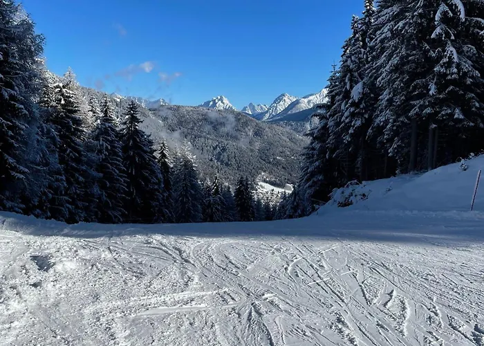 Sogno Delle Dolomiti * Calalzo di Cadore