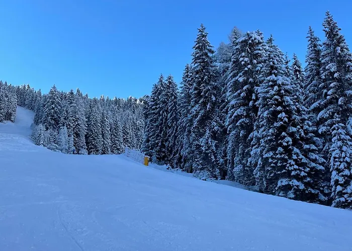 Апартаменты Sogno Delle Dolomiti *