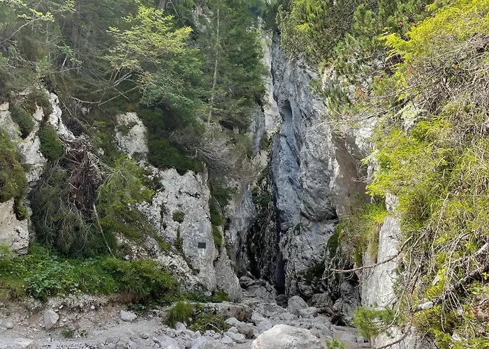 Sogno Delle Dolomiti *