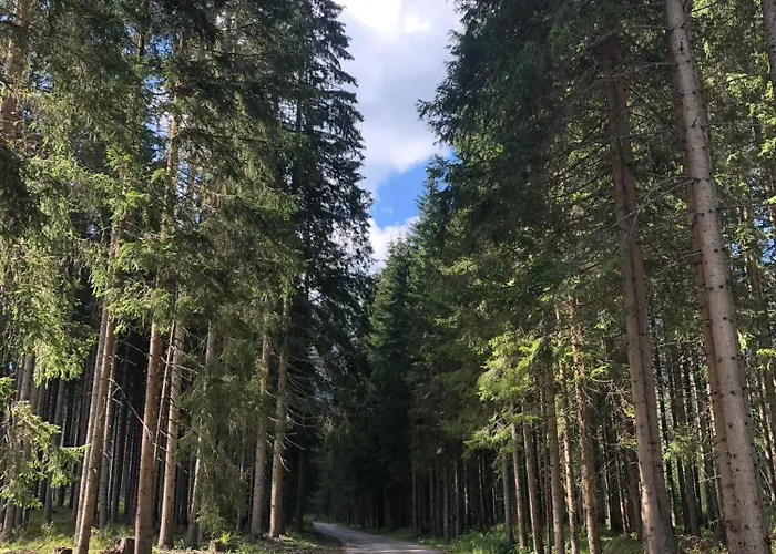 Sogno Delle Dolomiti Апартаменты *
