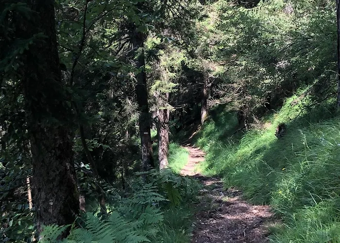Sogno Delle Dolomiti Calalzo di Cadore