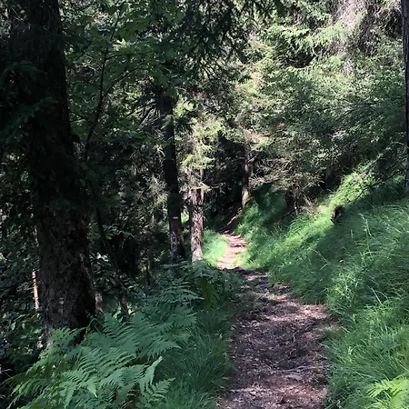 Sogno Delle Dolomiti Calalzo di Cadore