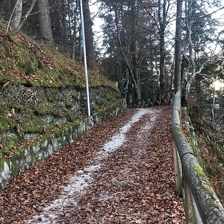 Sogno Delle Dolomiti *